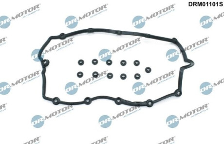 ZESTAW USZCZELEK POK. ZAW. AUDI A3 2,0TDI 16V 04- Dr.Motor DRM01101S