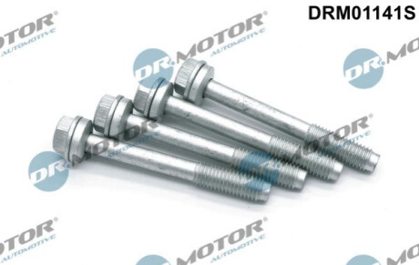 ГВИНТ ТРИМАЧА ФОРСУНКИ 4 ШТ. Dr.Motor DRM01141S