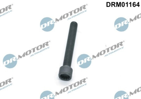 Болт с фигурной головкой Dr.Motor DRM01164