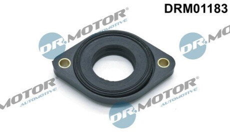 USZCZELKA NASTAWNIKA FAZ ROZRZADU BMW (OE-11141435023) Dr.Motor DRM01183