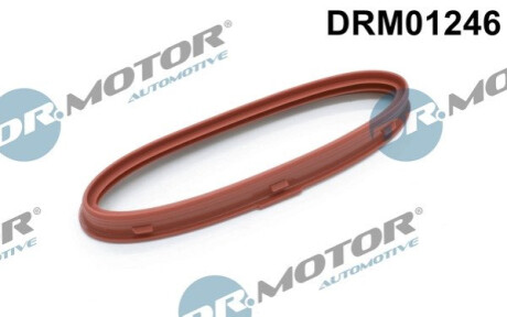 Кольцо резиновое Dr.Motor DRM01246