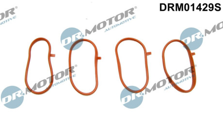 ZESTAW USZCZELEK KOLEKTORA SSACEGO 4 SZT Dr.Motor DRM01429S