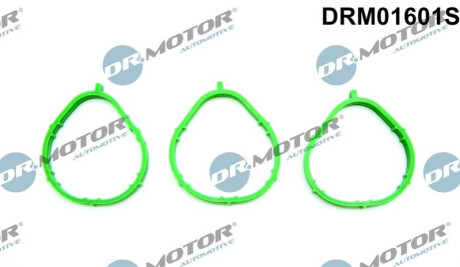 DRMOTOR Dr.Motor DRM01601S