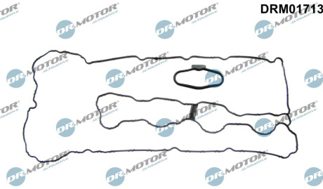 USZCZELKA POKRYWY ZAWOROW Dr.Motor DRM01713