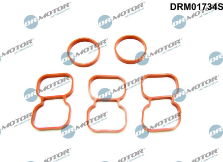 КОМПЛЕКТ ПРОКЛАДОК ВПУСКНОГО КОЛЕКТОРА Dr.Motor DRM01734S