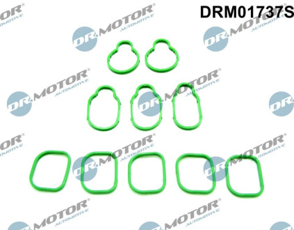 НАБІР ПРОКЛАДОК ЦВ. SS. VW BORA 2.3 99- Dr.Motor DRM01737S