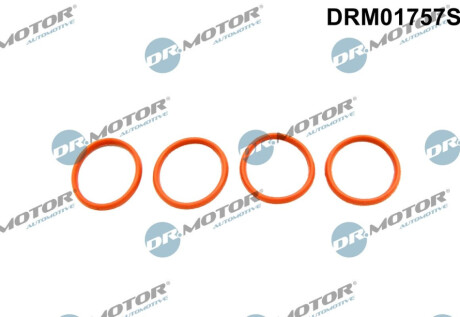 НАБІР ПРОКЛАДОК ЦВ. SS. PEUGEOT 206 1.1/1.4 98- Dr.Motor DRM01757S