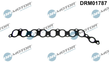 DRMOTOR Dr.Motor DRM01787