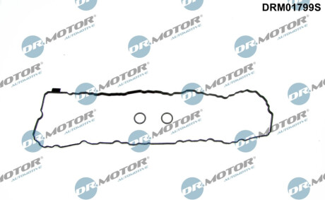 НАБІР ПРОКЛАДОК ЧАШІ ПР. SEAT LEON 2.0 17- Dr.Motor DRM01799S