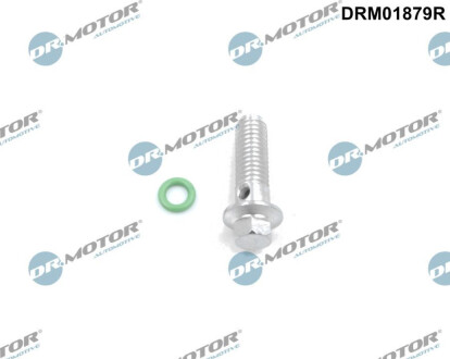 Ремкомплект масляної помпи 2 елементи Dr.Motor DRM01879R