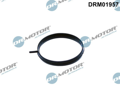 USZCZELKA PRZEPUSTNICY RENAULT CLIO 0.9TCE/1.2TCE 12- Dr.Motor DRM01957