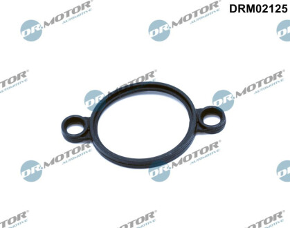 ПРОКЛАДКА КЛАПАНА BMW 5 E60 Dr.Motor DRM02125