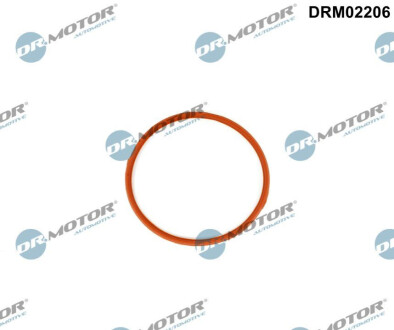 DRMOTOR Dr.Motor DRM02206