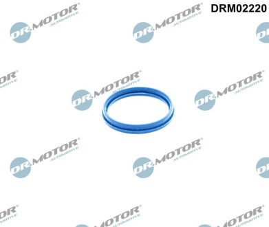 ПРОКЛАДКА КОРПУСА ІЗОЛЯЦІЇ КОЛЕКТОРА FORD TRANSIT 2.4TDCI 04- Dr.Motor DRM02220