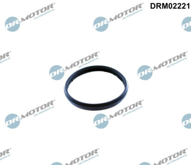 ПЕЧАТКА Dr.Motor DRM02221