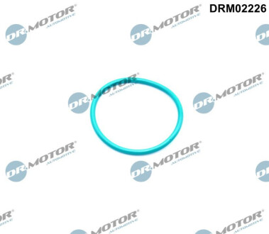 Кільце гумове Dr.Motor DRM02226