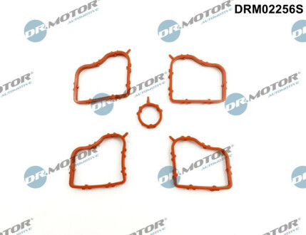 Комплект прокладок гумових Dr.Motor DRM02256S