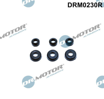 КОМПЛЕКТ УЩІЛЬНЕНЬ Dr.Motor DRM0230R (фото 1)