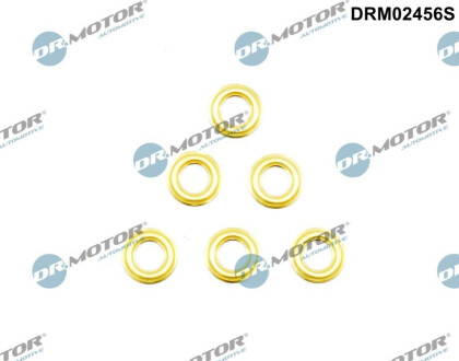 КОМПЛЕКТ ОМИВАЧІВ ІНЖЕКТОРА 6 ШТ Dr.Motor DRM02456S (фото 1)