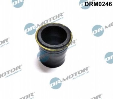 Кольцо резиновое Dr.Motor DRM0246