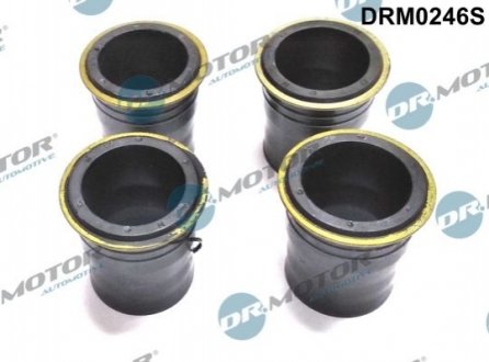 Кільце гумове Dr.Motor DRM0246S (фото 1)