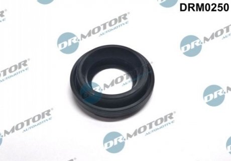 Кольцо резиновое Dr.Motor DRM0250
