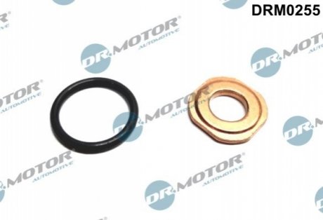 Ремкомплект форсунки 2 елемента Dr.Motor DRM0255 (фото 1)