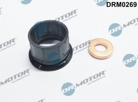 Ремкомплект форсунки 2 елементи Dr.Motor DRM0269 (фото 1)