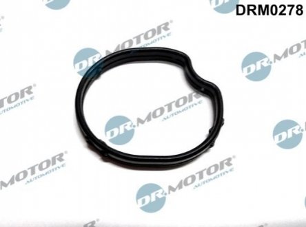 Прокладка, корпус термостата Dr.Motor DRM0278 (фото 1)