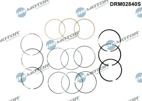 KPL.PIER┼ÜCIENI T┼üOKOWYCH NA 3 T┼üOKI CA┼üY SILNIK Dr.Motor DRM02840S