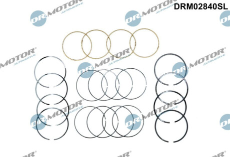 KPL.PIER┼ÜCIENI T┼üOKOWYCH NA 4 T┼üOKI CA┼üY SILNIK Dr.Motor DRM02840SL