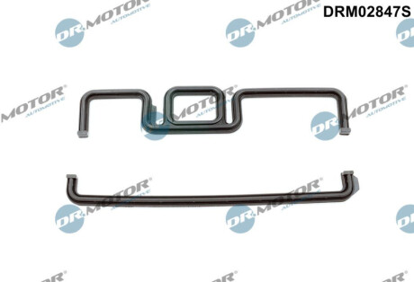 ПРОКЛАДКА КОРПУСА ГРМ BMW 3 3.6 00- Dr.Motor DRM02847S