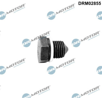 ПРОБКА МАСЛЯНОГО ПОДДОНУ Dr.Motor DRM02855