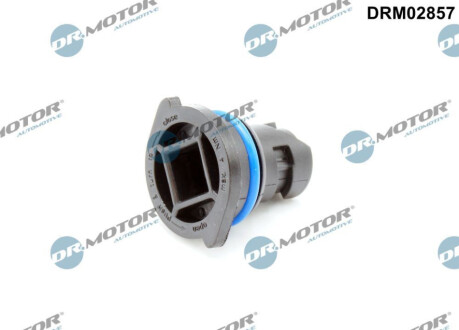 ПРОБКА МАСЛЯНОГО ПОДДОНУ Dr.Motor DRM02857