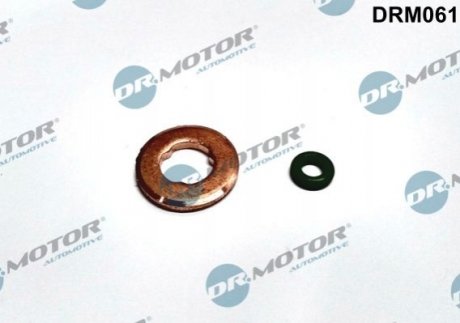 Ремкомплект форсунки 2 елементи Dr.Motor DRM061 (фото 1)