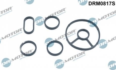 Комплект прокладок гумових Dr.Motor DRM0817S (фото 1)