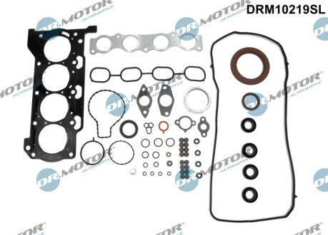 USZCZELKI - ZESTAW Dr.Motor DRM10219SL