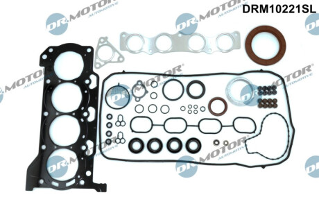 USZCZELKI - ZESTAW Dr.Motor DRM10221SL