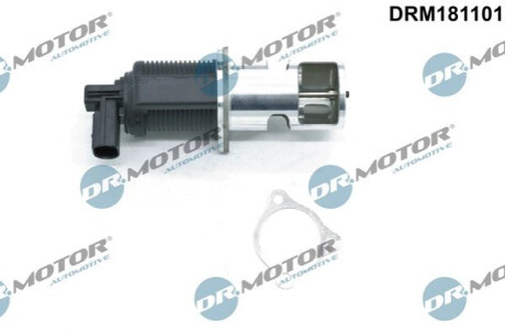 ZAWOR EGR Z USZCZELKA Dr.Motor DRM181101