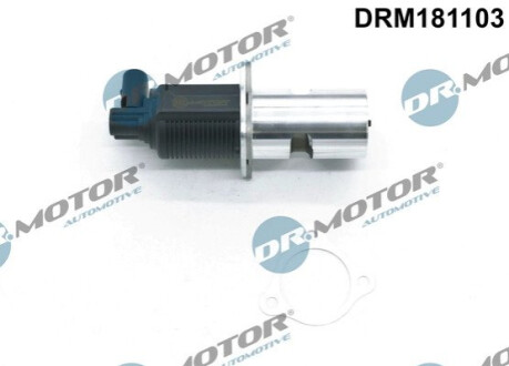 ZAWOR EGR Z USZCZELKA Dr.Motor DRM181103