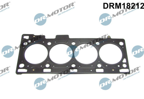 USZCZELKA GСњ. RENAULT MEGANE 2,0 06- Dr.Motor DRM18212