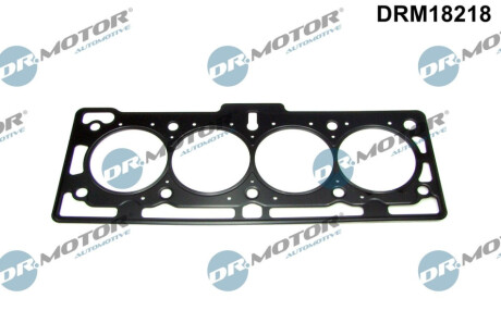 ТОВСТА ПРОКЛАДКА RENAULT KANGOO 1.6 08- 0.3MM Dr.Motor DRM18218