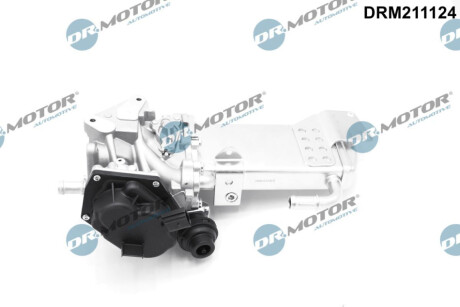 DRMOTOR Dr.Motor DRM211124