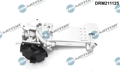 DRMOTOR Dr.Motor DRM211125 (фото 1)