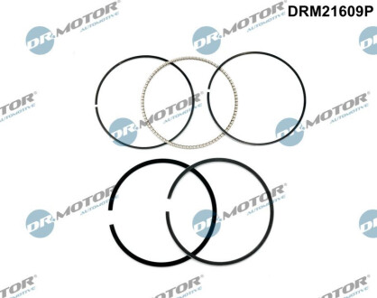 KPL.PIER┼ÜCIENI Dr.Motor DRM21609P