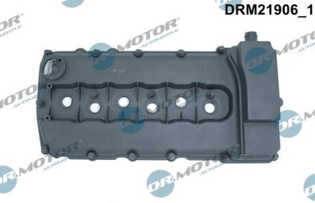 Кришка головки циліндра VW PASSAT 3,2FSI 11- Z USZCZELKд Dr.Motor DRM21906