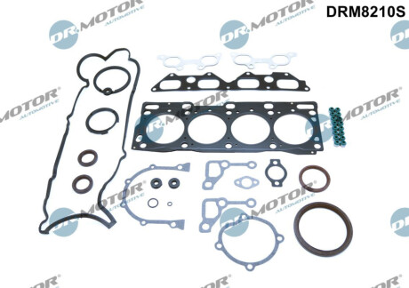 DRMOTOR Dr.Motor DRM8210S (фото 1)