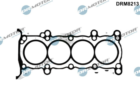 DRMOTOR Dr.Motor DRM8213