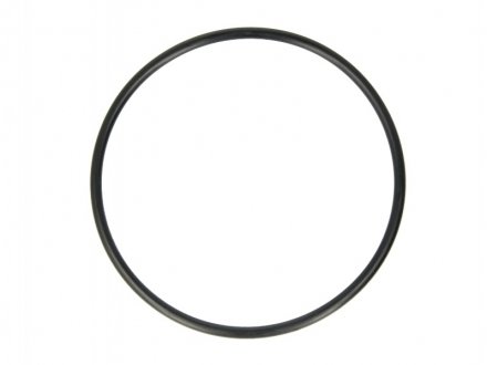 Кругла прокладка DT 4.20278 (фото 1)