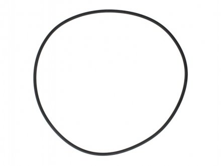 Кругла прокладка DT 4.20393 (фото 1)